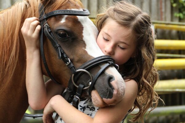 Att Ha Häst: En Livsstil Genomsyrad Av Passion